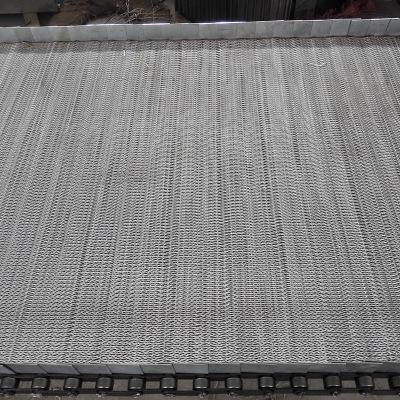 分析關于鏈條網帶的特點以及應用